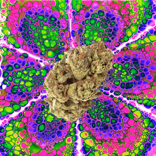 Item #13955282856406335165414100891374623718709547313428947888299033913175857692682 Media