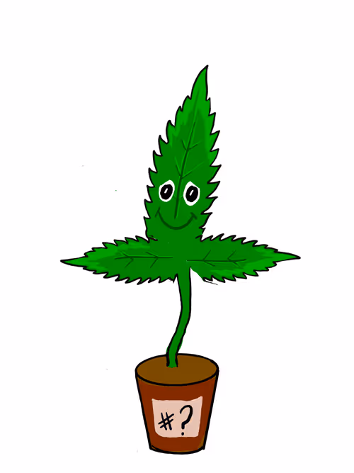 Item #3629226787036885345407013839473637357726433756934680638690710351224896487425 Media