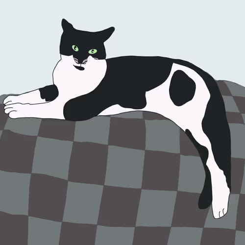 Item #100705917282703893939384424075952826083151836848677792179932389086173895589898 Media