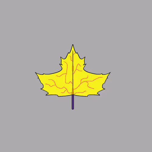 Item #67442861663334708568431626599499864796798009138674433109352703456481711751169 Media