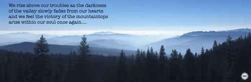 Untitled Collection #207456978