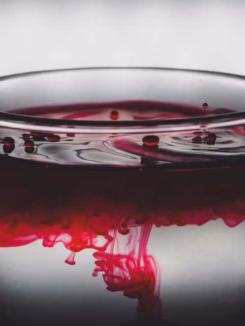 Item #39391070493116977564899321791408150162796374052111424108014134437040523051009 Media