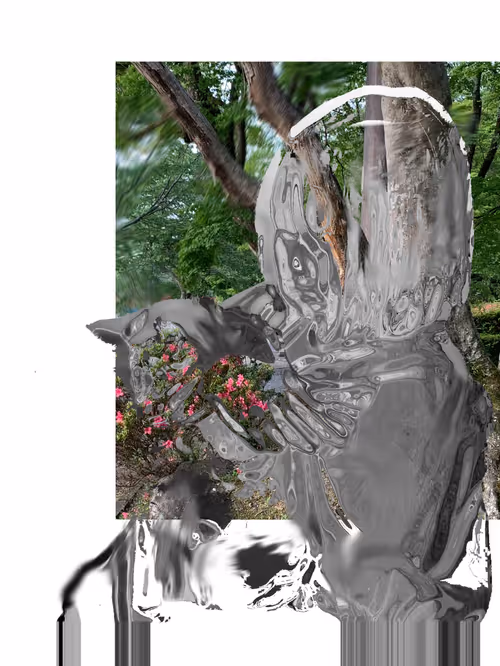 Item #63389605665992596593659090566096820550261132367651570760733655709051885977601 Media