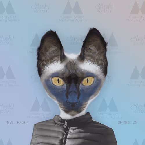 Celebrity Cat Modeling Agency #166