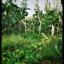 3787080761074609709675817509753112159059746763483256848434353991003989344257