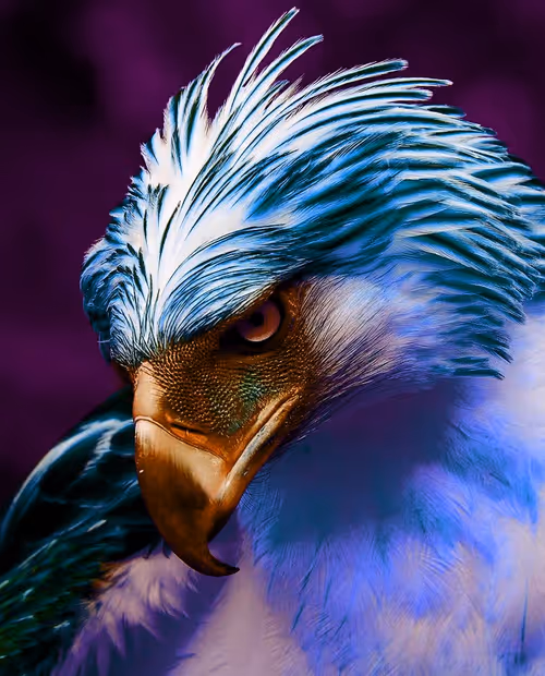 Item #115232870370577477461581822624034906619609473501276366319453953477417520594945 Media