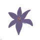 74537275573801570181462110409333041019398561924833377450537598375576121376808