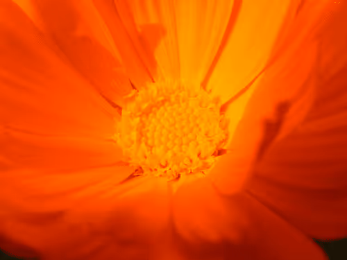 Item #53581876738018030526296833198765097323208142745183468553001527175324060614657 Media