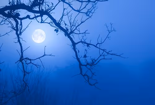 blue