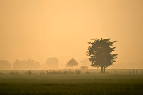 Item #25248765690261585435434482314818899014355955401617162377978101850710044835841 Media