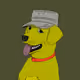 57065749050580524609506022658268175864837705531277667322606215084340647297025
