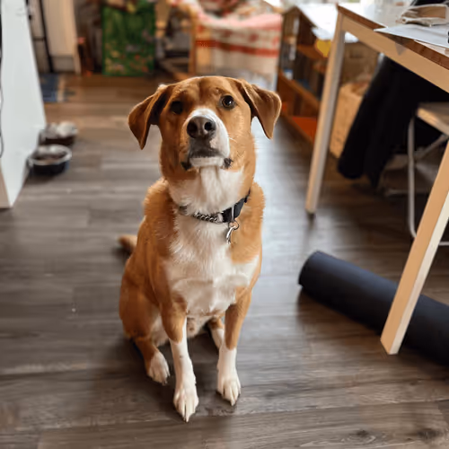 Untitled Collection #22413658