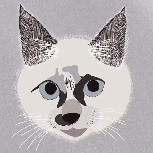 Untitled Collection #107374718