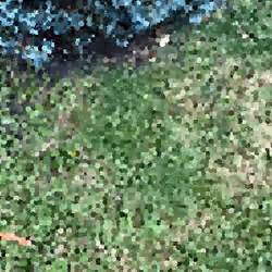 Blue but not the grass 