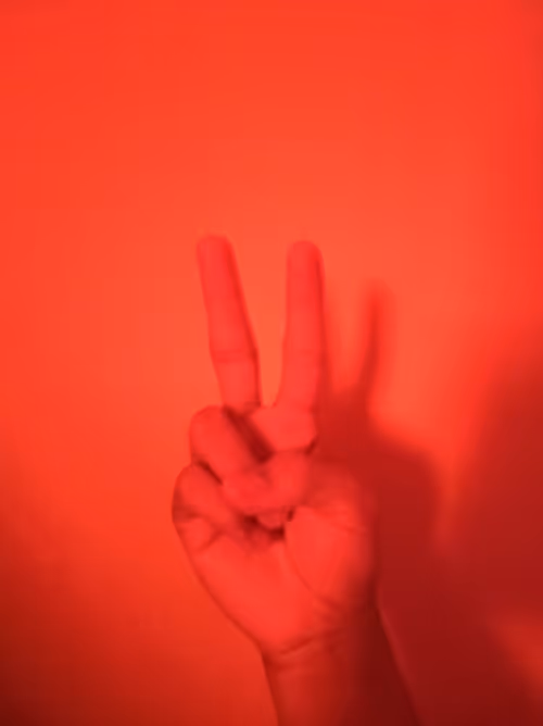 Item #23336957657459712416994649595215718674095029252422504392805210666639770517505 Media