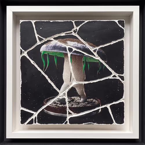 Item #105977569632415533268729369178288548247161126031893574042184469553360435937281 Media