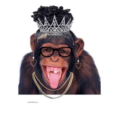 Untitled Collection #273128533