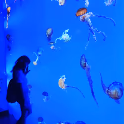 Underwater Jellyfish Princess 