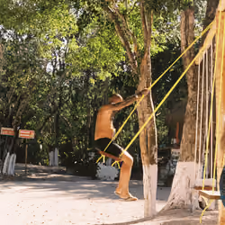 swing