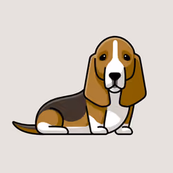 Doge