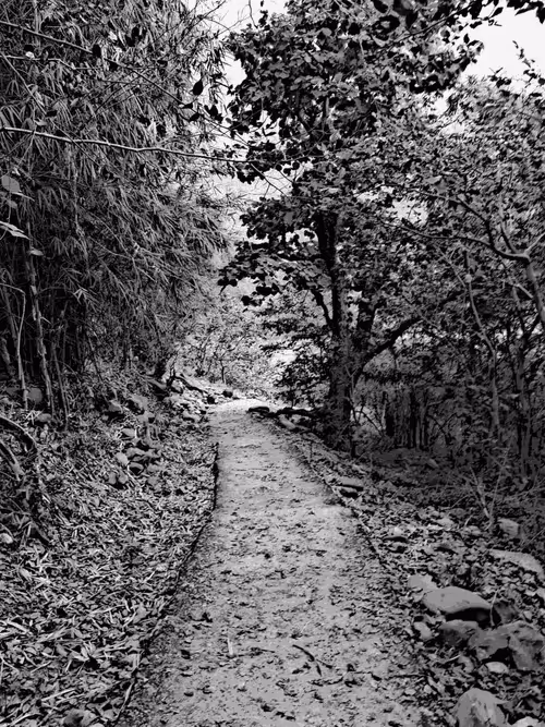 Item #28492546344238997982627040595659913257173957231691920694804582538758968049665 Media