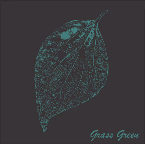 Item #40167138637940562108431742001123872206105593199433866487640627832968766816257 Media