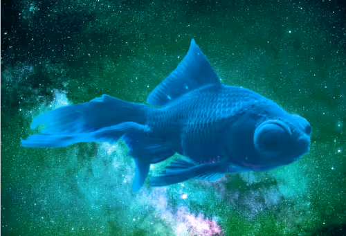 Item #64831065688873909434537665941137318682836571431209528516298654540668736634885 Media