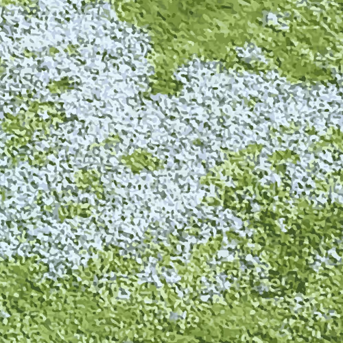 Item #105005020729928812833768265319498466553553546658524119607543066585495903404232 Media