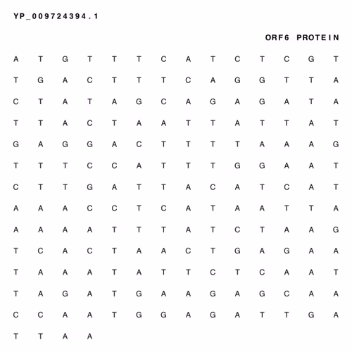 Item #65380618963620114885281271461439322618207565584775953371672302086714927611905 Media