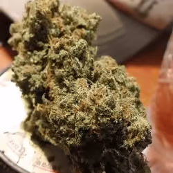 fuego