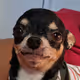 9859859204540150861143805388061845764136895871590577661495031105506903064577
