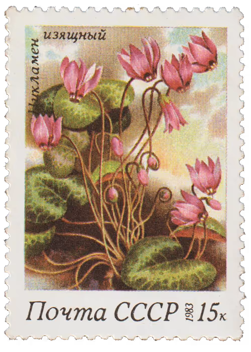 Item #36928828717643675900437569795538987988773281266085500979873832066006348988417 Media