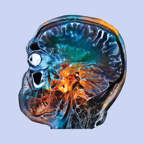 Item #103537199481813866111275584604128457749935418294223134182320110184296274198529 Media