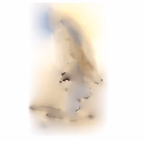 Untitled Collection #127091999