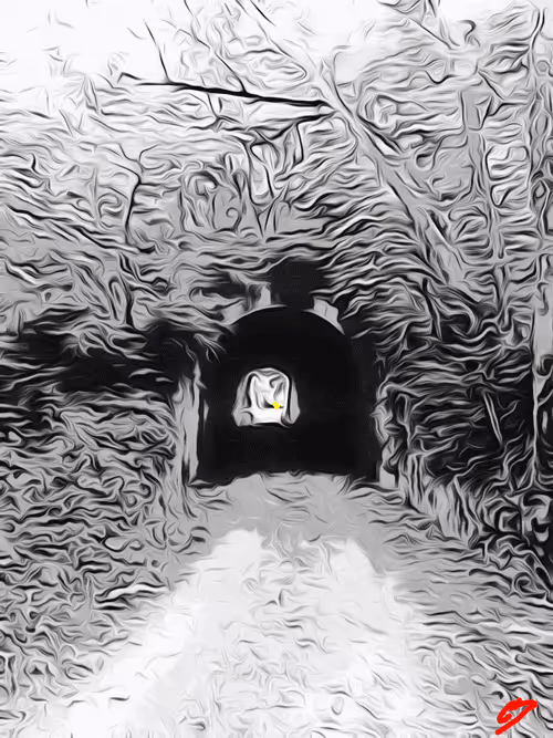 Item #92488739409829942106493513181960469638549893427874443663308882696003416752129 Media