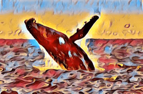 Item #13508095039876190545401276820051286684336130647733164687297862540308449853441 Media