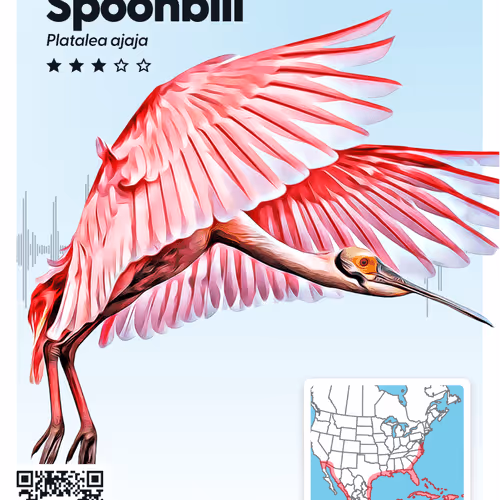 26102390610025884852824728088708208703251930988161684574571712852787720093706