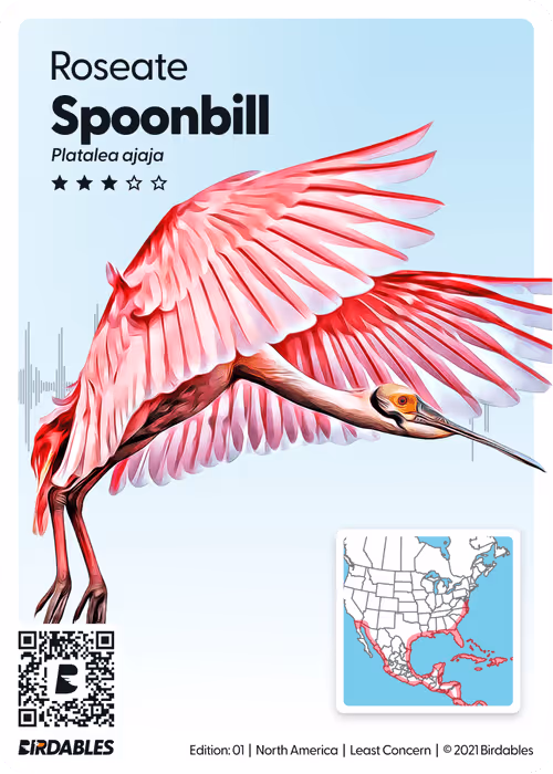 Item #26102390610025884852824728088708208703251930988161684574571712852787720093706 Media