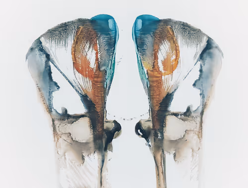 Item #108505035683148863542946695079215516686483924103139762449029520110436189470732 Media