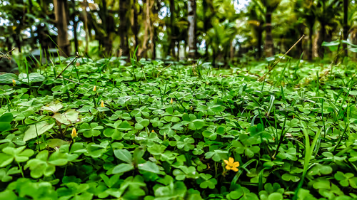 Item #79881050723478976597603312711140696422670200976584181801927160684412588261377 Media