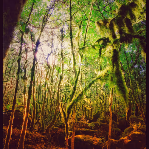 3787080761074609709675817509753112159059746763483256848434353530308617306113