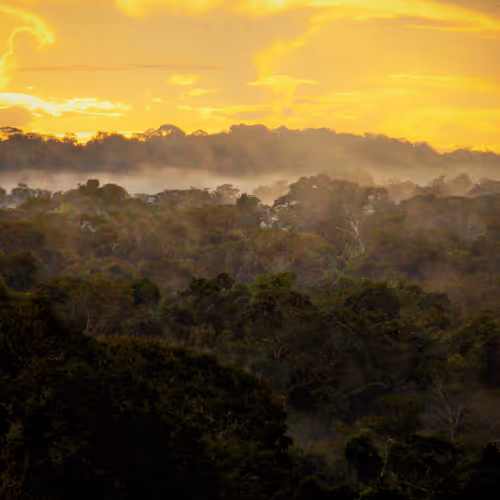 45576425564904372626892608315059614446222544919153294335331944285251668279297