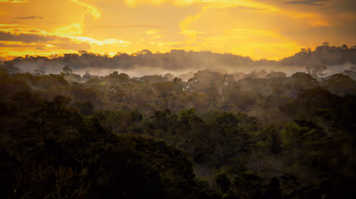 Item #45576425564904372626892608315059614446222544919153294335331944285251668279297 Media