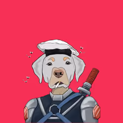 hygiene dog