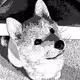 36082346635535381455759250519461518306363858669119966088244715087613462052865