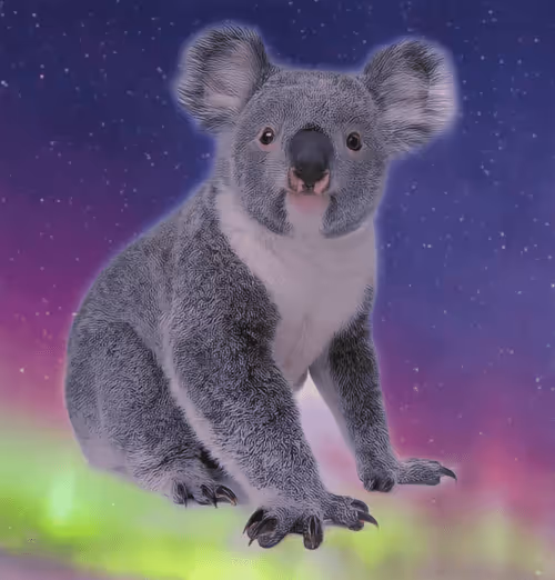 Item #75086745474347274452093740593438062832653814310012917017256883091329890910209 Media