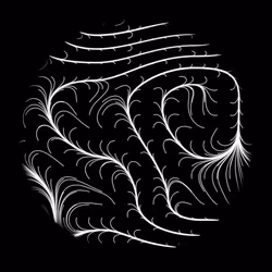 44081091071029519646655864610904877789481755389239864061758742180292030627841