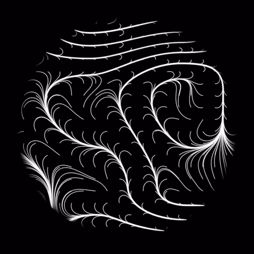 Item #44081091071029519646655864610904877789481755389239864061758742180292030627841 Media