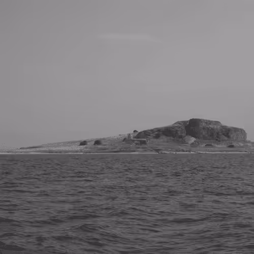 Item #107742627867956892364714120184147413803821811265510288122929724905936989978625 Media