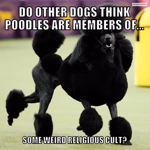 Item #50019202249894892371434277918318181364623497082798944916930855599103365087233 Media